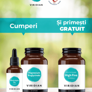 Pachet promotional multivitamine cu minerale Viridian High Five Electrolyte Fix Magneziu Bisglicinat gratuit